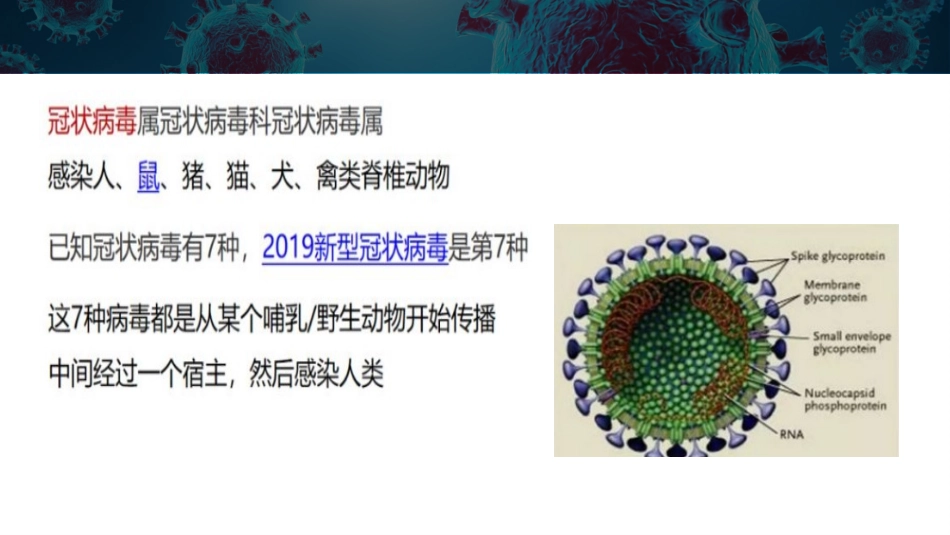 新冠疫情防控防疫知识专题培训_第3页