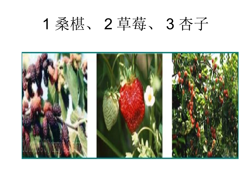 新疆干果市场分析_第2页