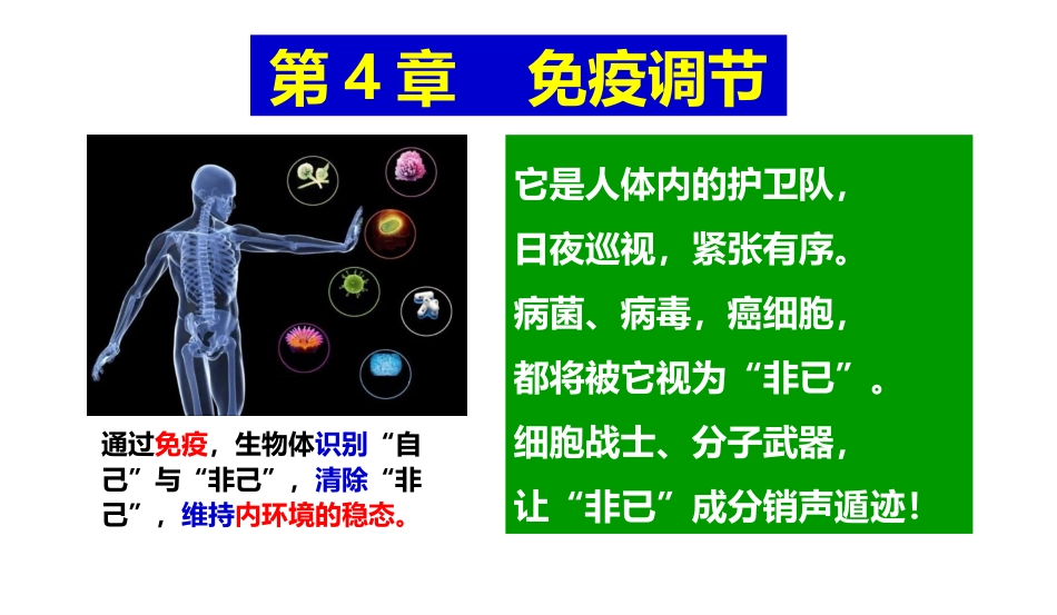 新教材免疫失调课件生物人教版选择性必修一_第1页