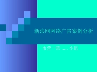 新浪网网络广告案例分析