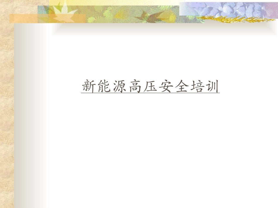 新能源高压安全培训_第1页