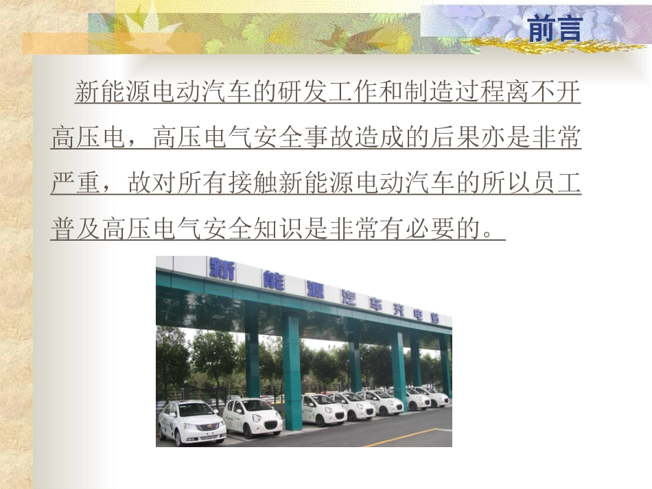 新能源高压安全培训_第3页