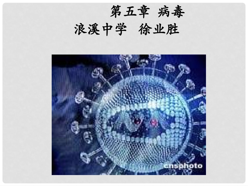 新人教版病毒_第2页