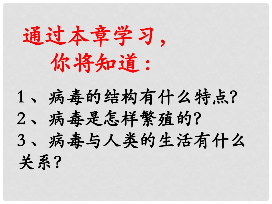 新人教版病毒_第3页