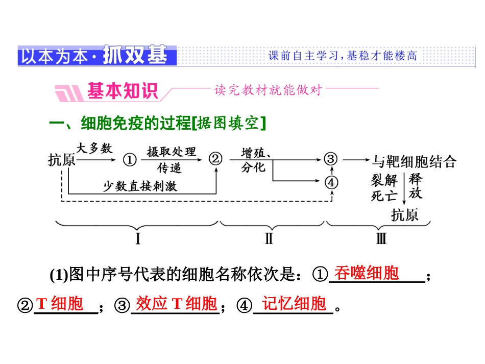 新人教必修高中生物细胞免疫及免疫的功能和应用_第3页