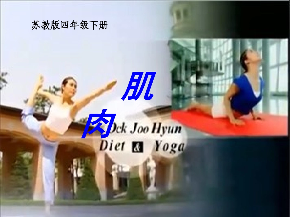 新苏教版四年级下册科学肌肉课件_第1页