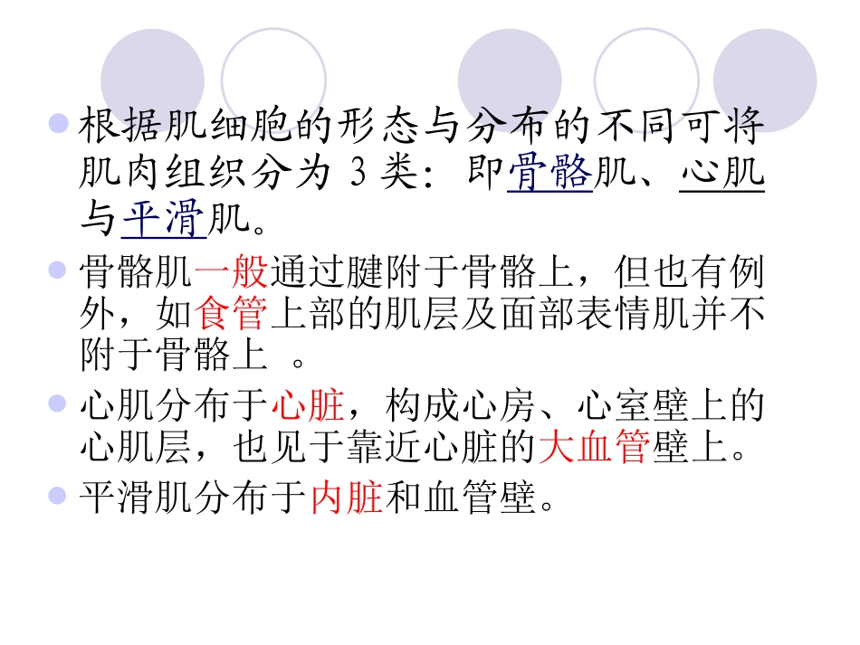 新苏教版四年级下册科学肌肉课件_第3页