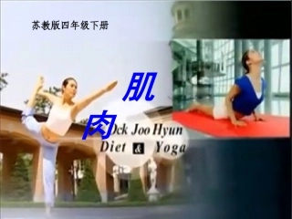 新苏教版四年级下册科学肌肉课件