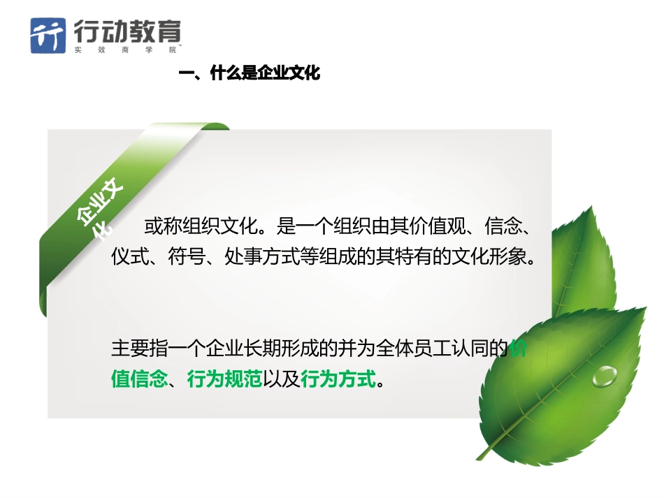 行动教育企业文化最新_第3页