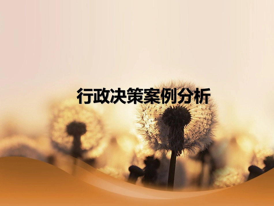行政决策案例分析_第1页