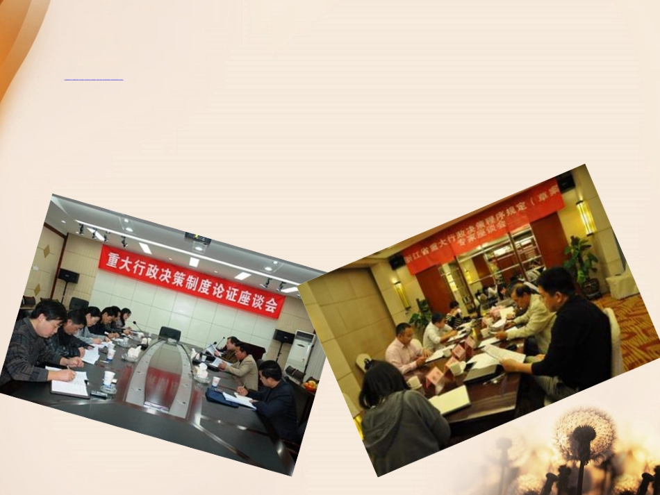 行政决策案例分析_第2页