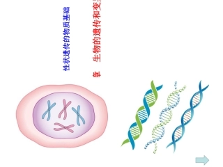 性状遗传的物质基础