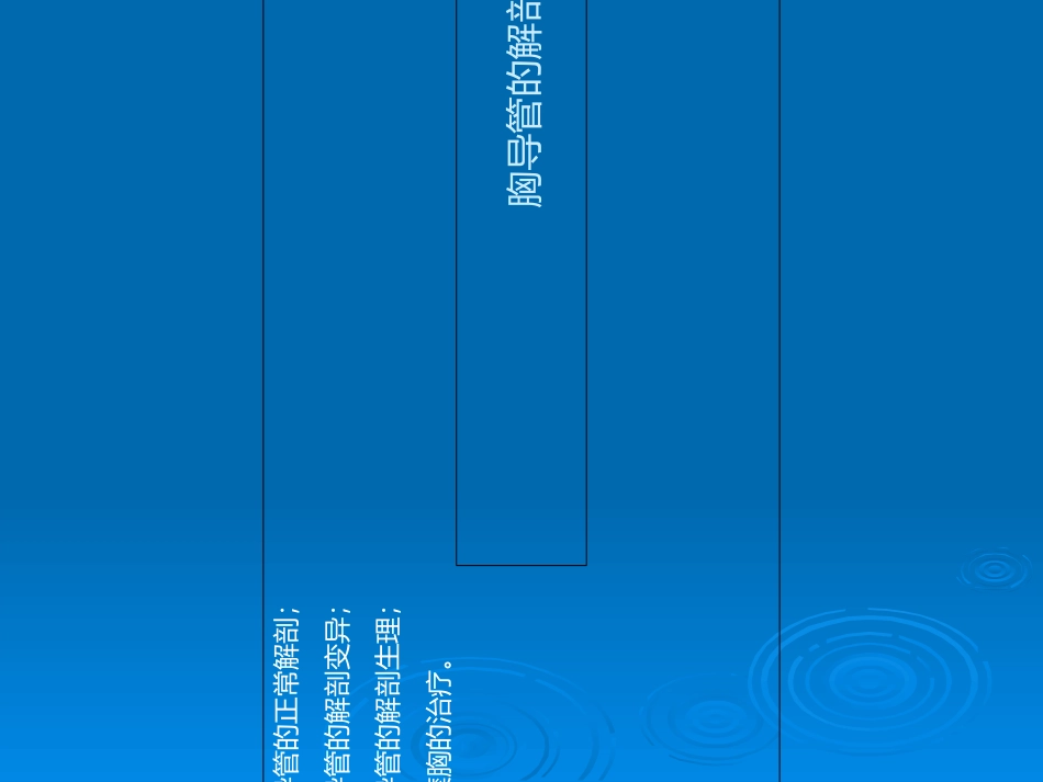 胸导管的解剖_第2页