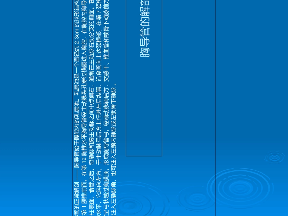 胸导管的解剖_第3页