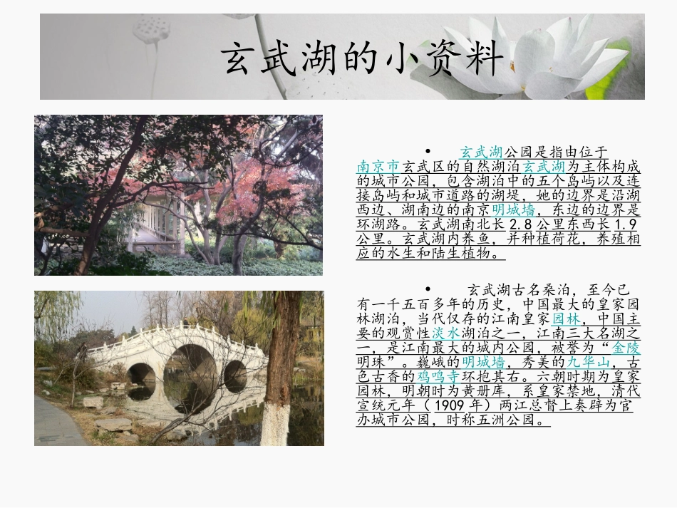 玄武湖调查报告_第2页