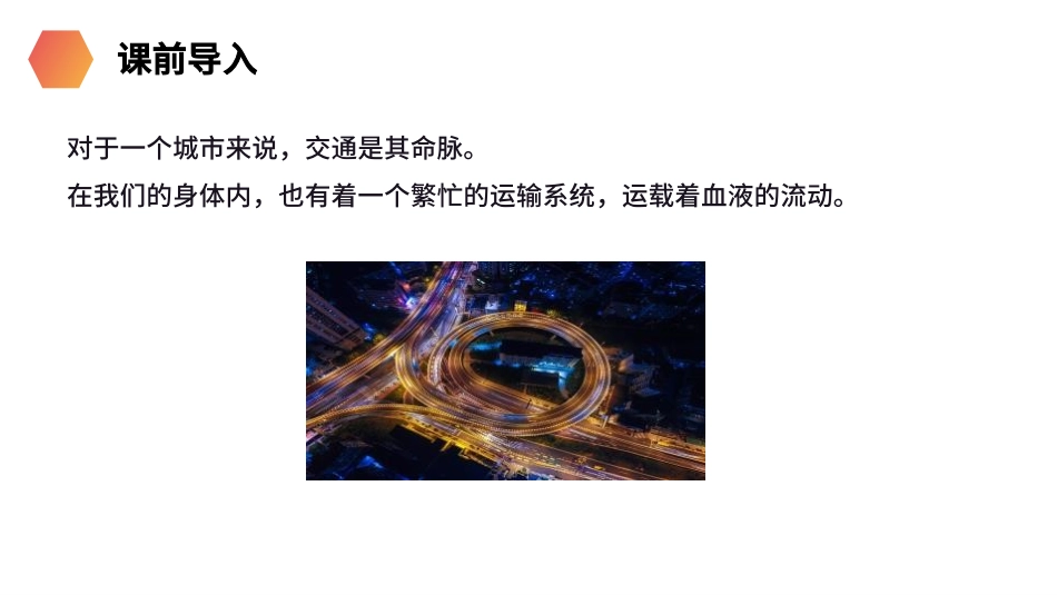 血流的管道―血管精品课件_第2页