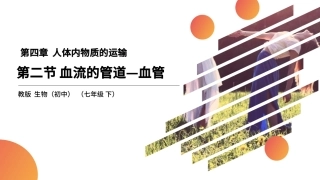血流的管道―血管精品课件