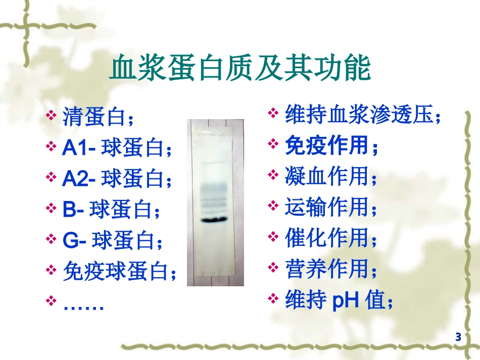 血液化学肝生物化学_第3页