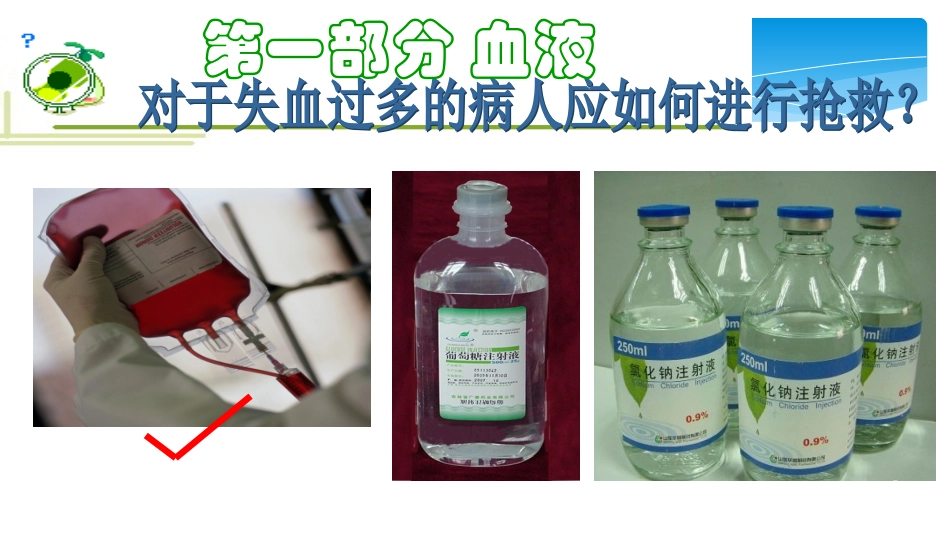 血液循环复习课件_第2页