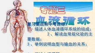 血液循环复习课件