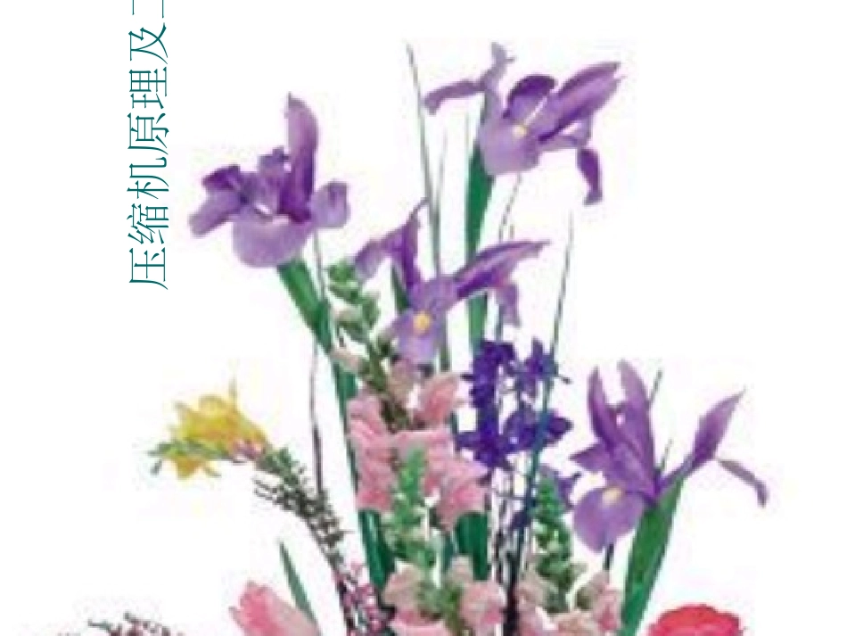 压缩机工作原理及工作过程_第1页