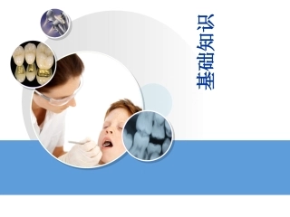 牙齿基础知识