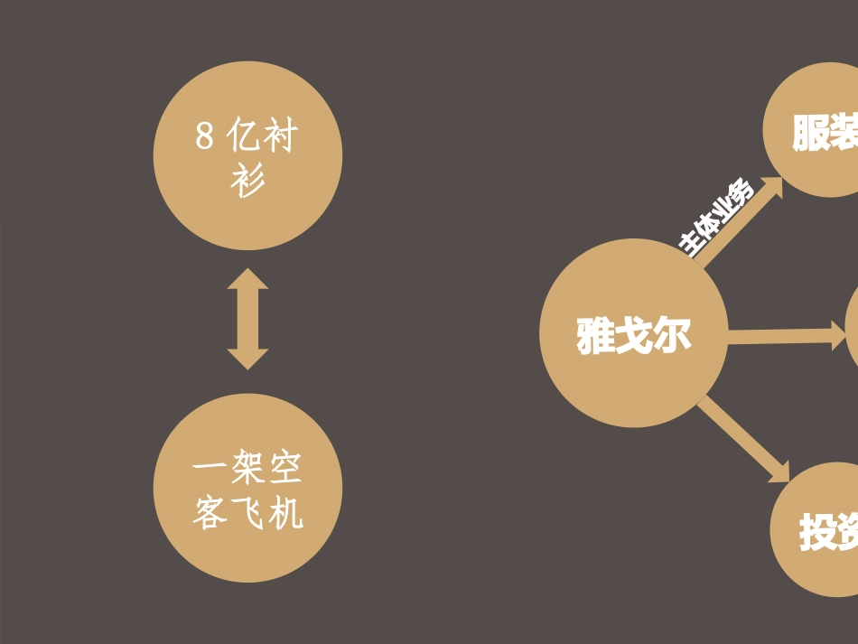 雅戈尔财务状况分析_第2页