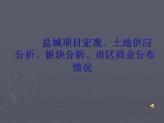 盐城市场调查报告