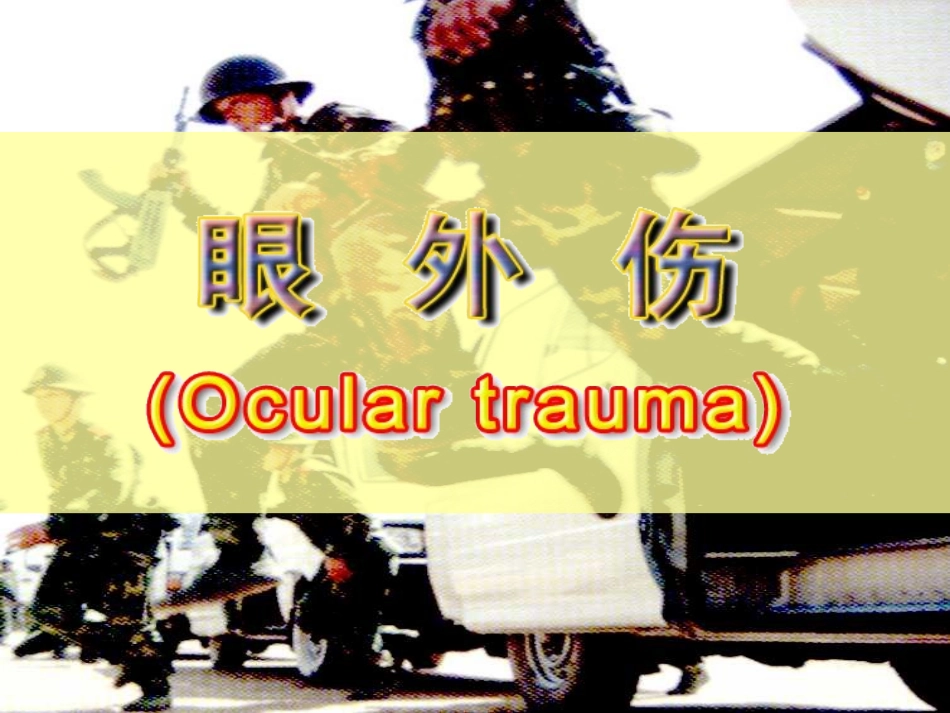 眼部外伤医本_第2页