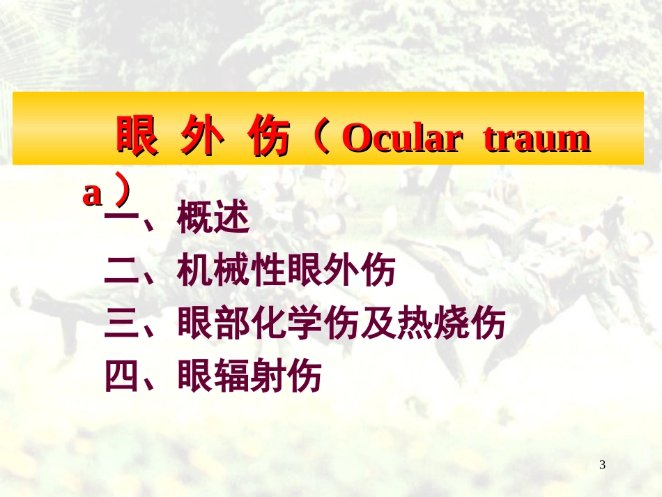 眼部外伤医本_第3页