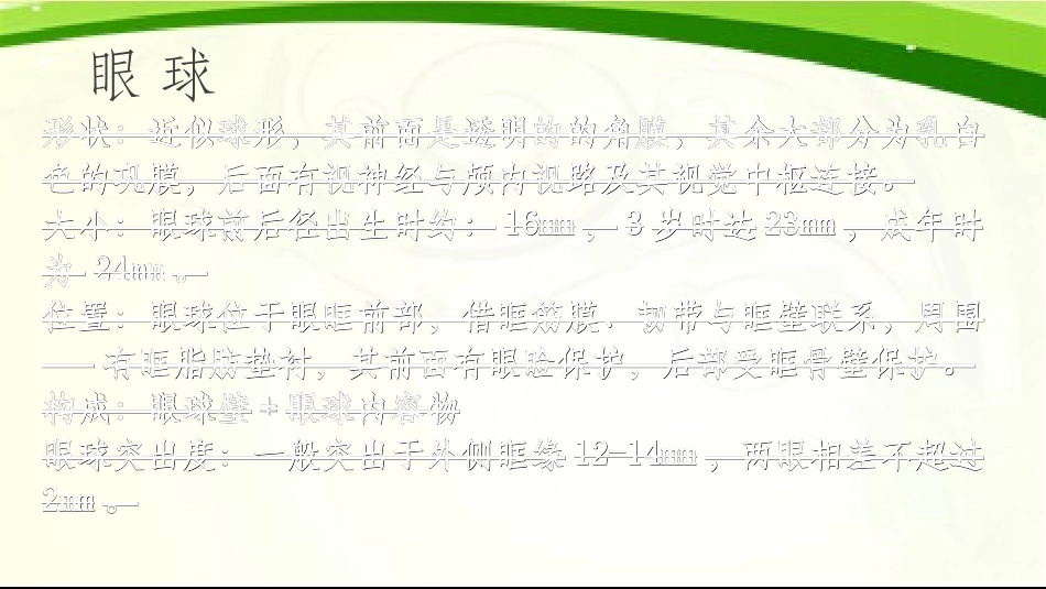 眼的解剖及生理课件_第2页
