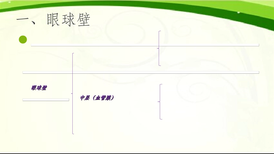 眼的解剖及生理课件_第3页