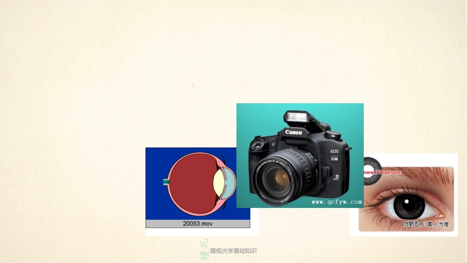 眼视光学基础知识_第3页