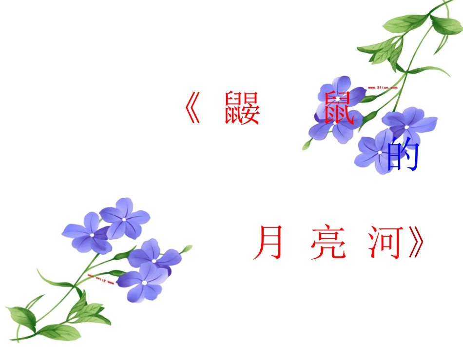 鼹鼠的月亮河课件_第2页