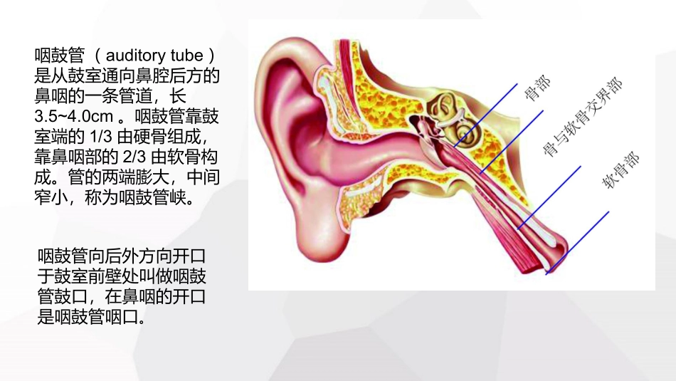 咽鼓管球囊扩张术_第3页