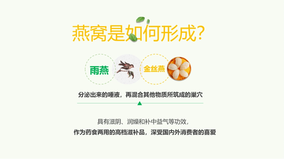燕窝补品产品介绍手册_第3页