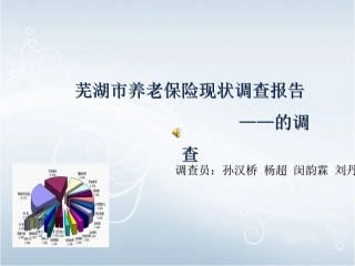 养老保险调查报告