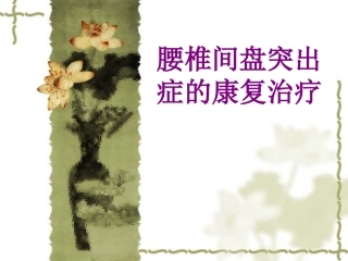 腰椎间盘突出症的康复治疗优质课件