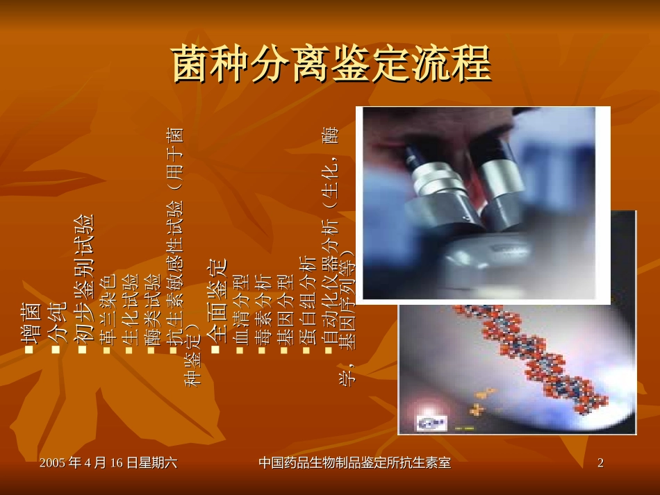 药品微生物限度检查_第2页