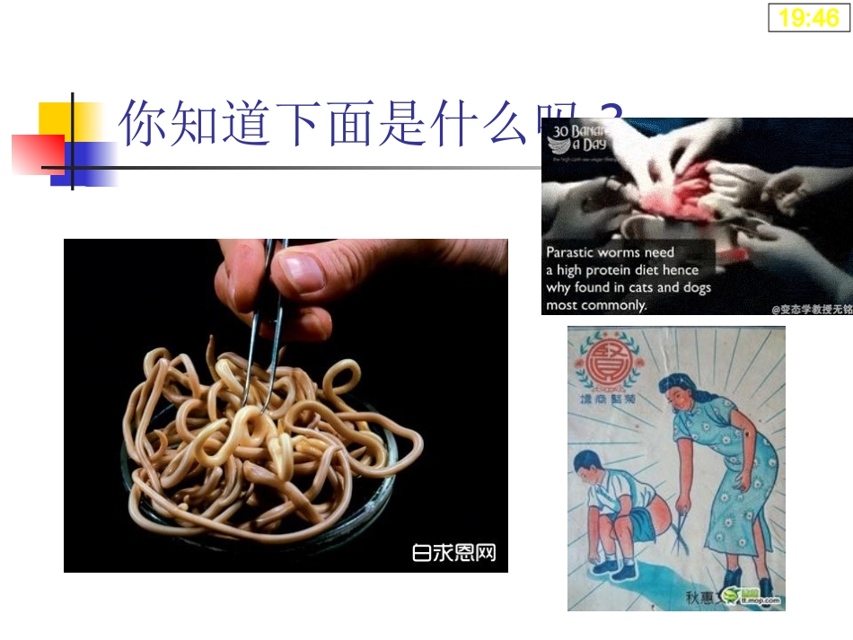 药物化学基础中职药剂专业抗寄生虫药_第2页