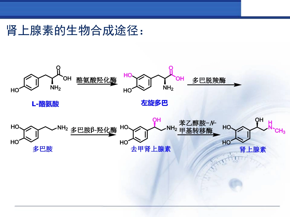 药物化学作用于肾上腺素能受体的药物_第3页