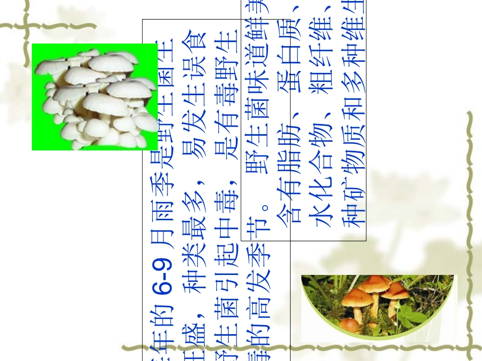 野生菌中毒防治知识优质课件_第2页