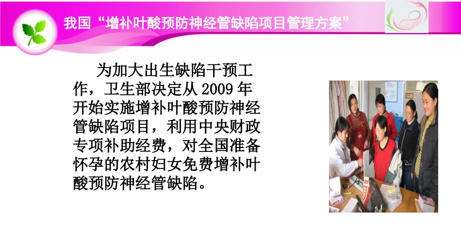 叶酸培训课件_第3页