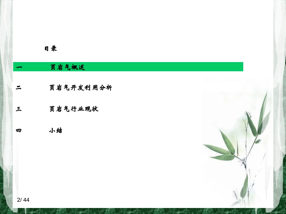 页岩气调研报告_第2页