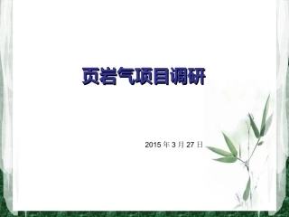 页岩气调研报告