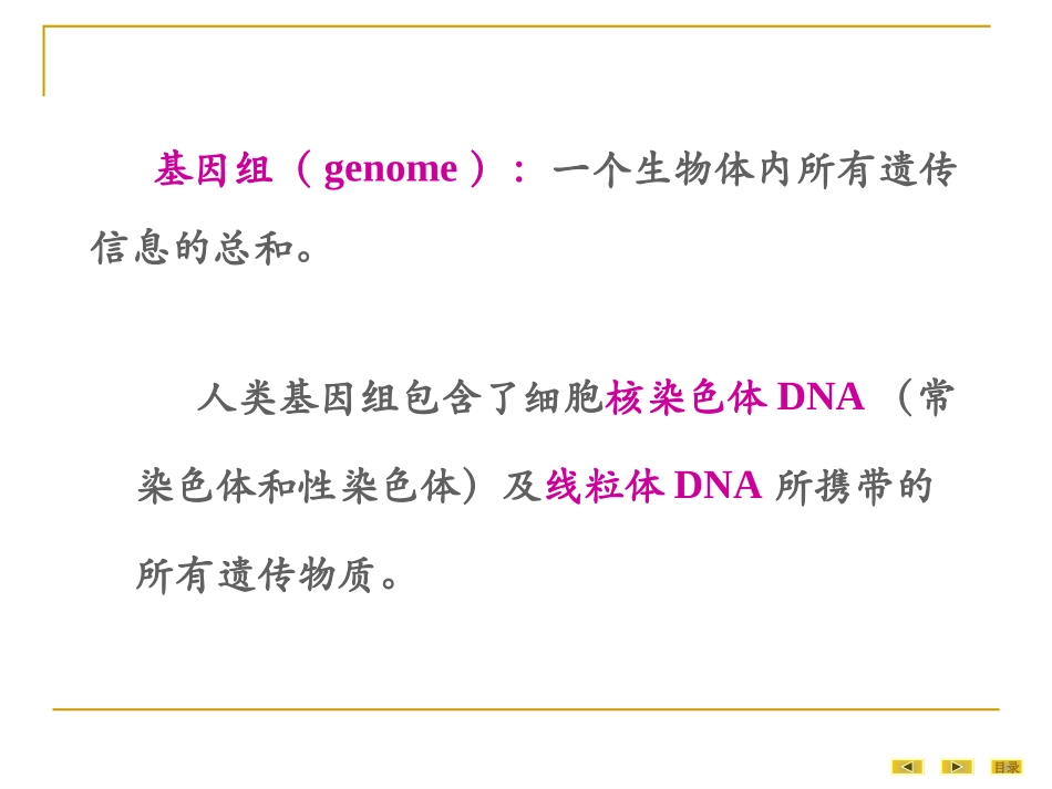 医学分子生物学第一章基因和基因组_第3页