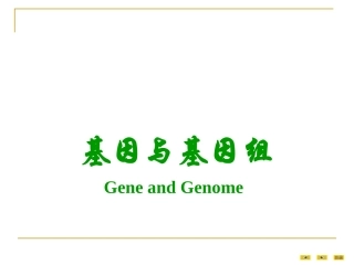 医学分子生物学第一章基因和基因组
