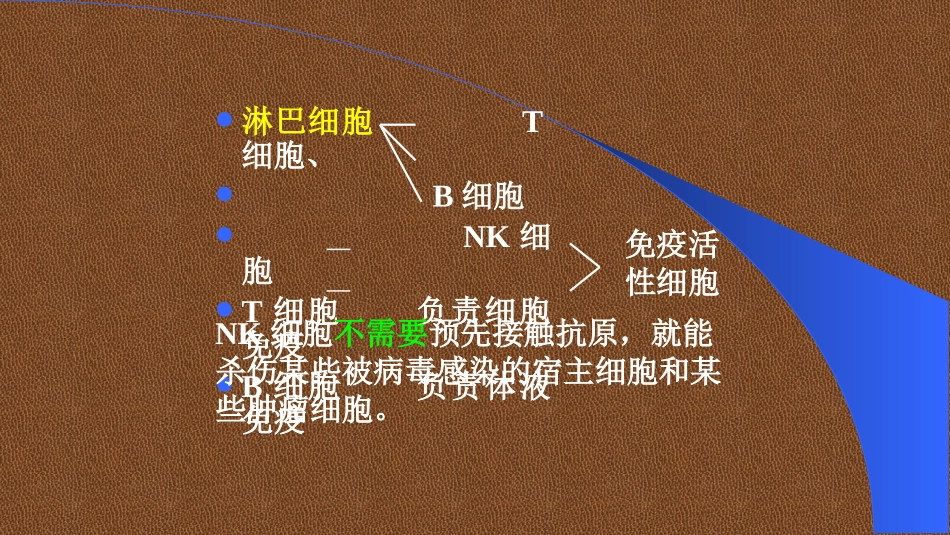 医学免疫学第九章淋巴细胞_第3页