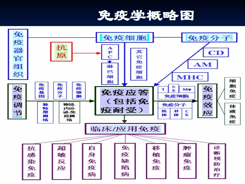 医学免疫学总复习_第3页
