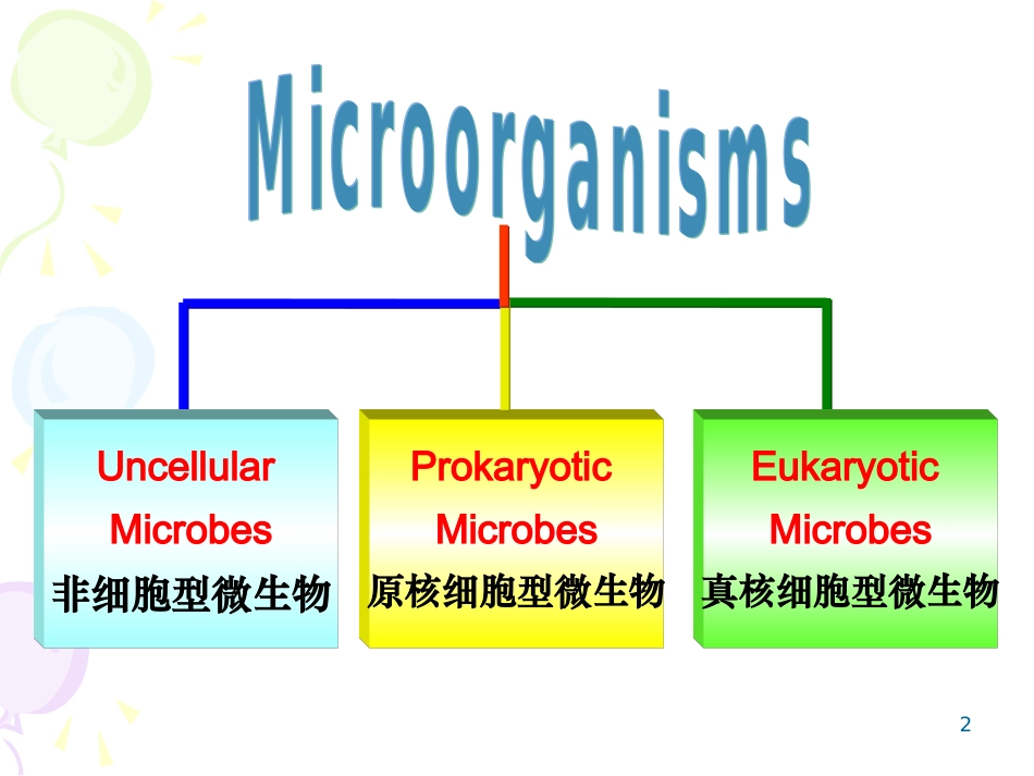 医学微生物学病毒的基本性状_第2页